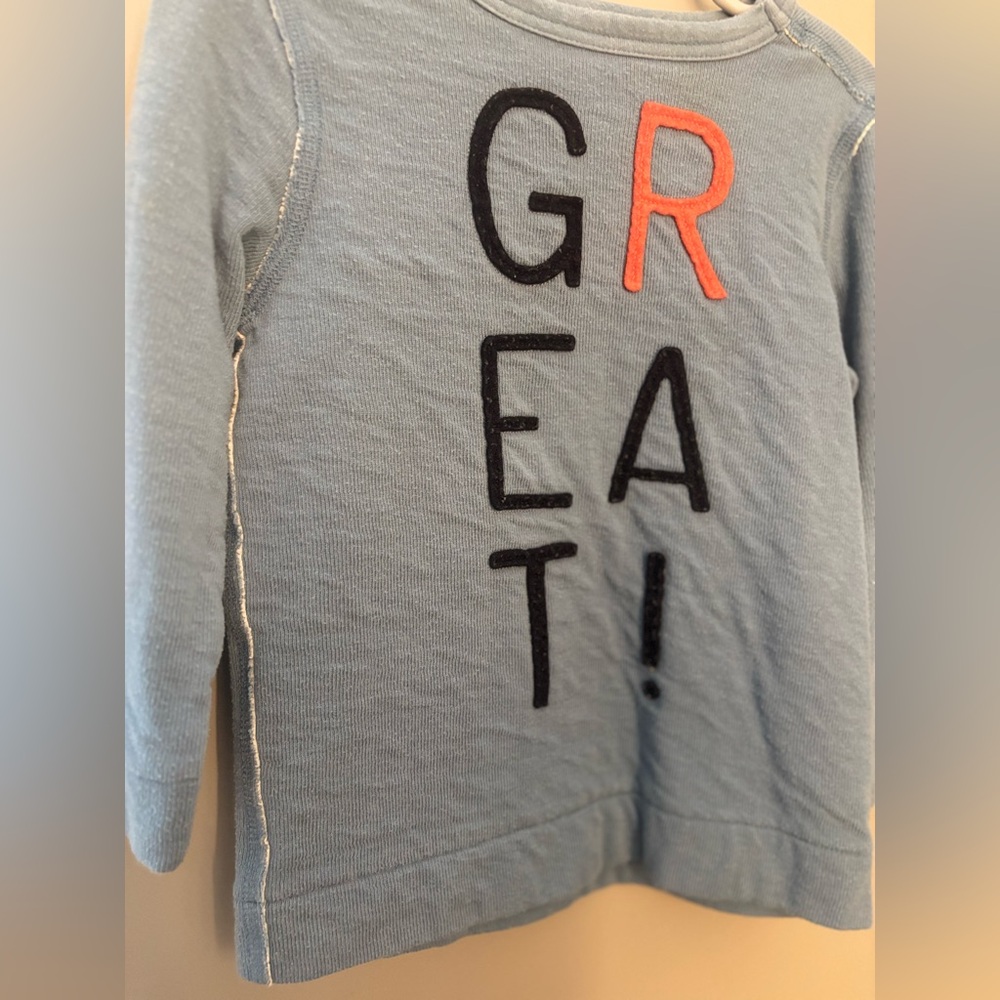 Gymboree Light Blue Long Sleeve Tee with Graphic Print